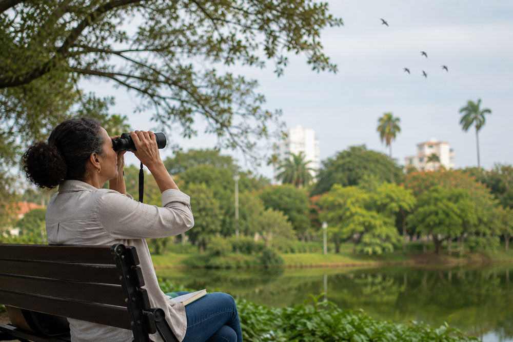 Observar aves en el parque
