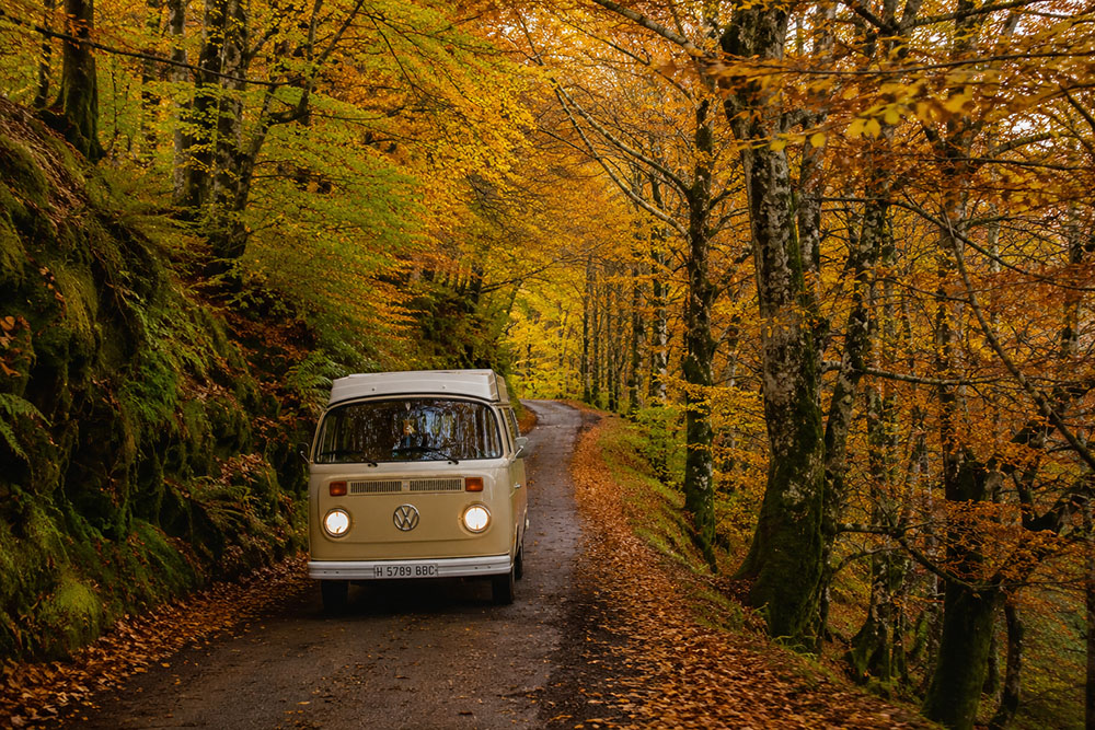Camper en un bosque