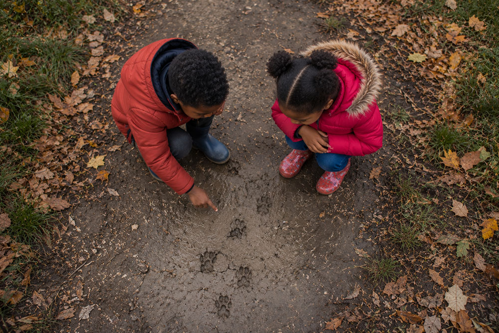 Niños mirando huellas de animales