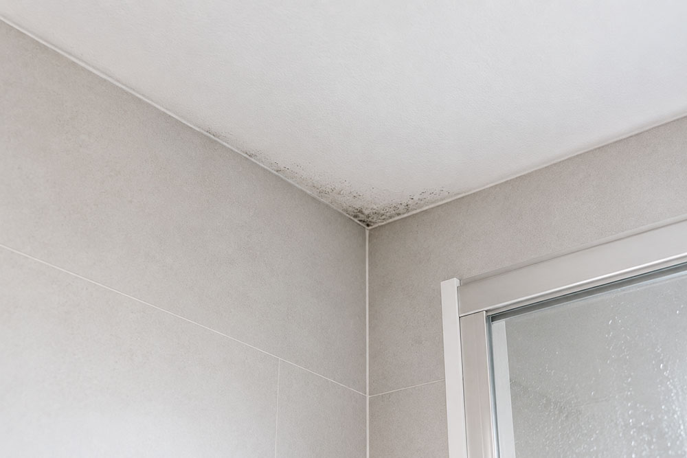 Eliminar moho del baño