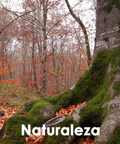 Naturaleza