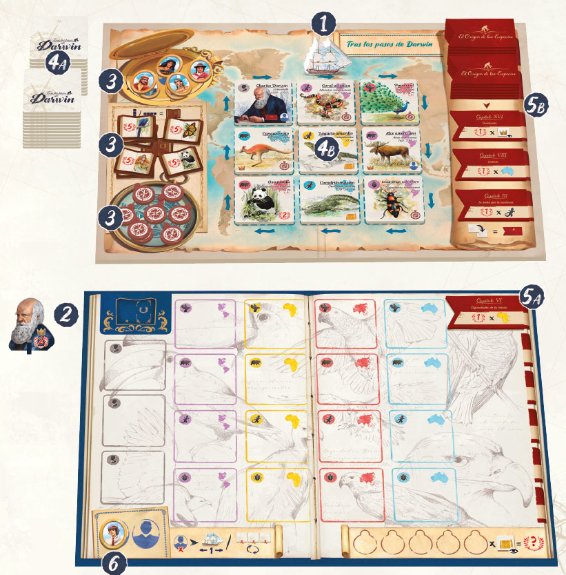 Tras los pasos de Darwin juego de mesa